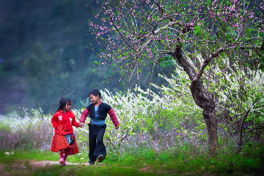 Top Mountain Biking Trips from Bac Ha to Sapa 8 Days
